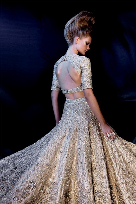 Gold Luster